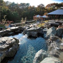 エンゼルフォレスト那須白河の温泉