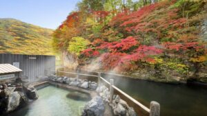 湯の杜　ホテル志戸平の天然温泉