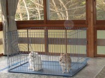 元湯旅館のペットと泊まれる部屋