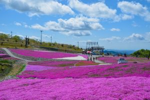 茶臼山高原