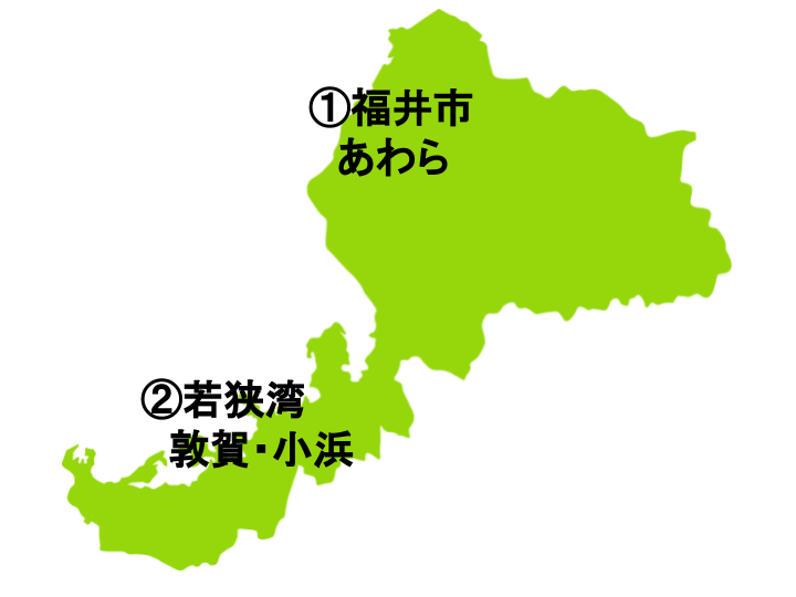 福井県の地図