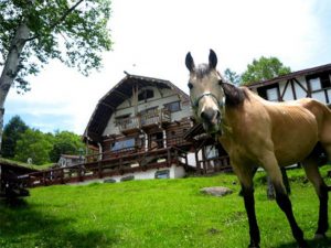 白樺湖ホープ・ロッヂ乗馬牧場