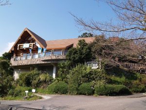 城ヶ崎海岸駅