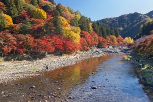 香嵐渓の紅葉