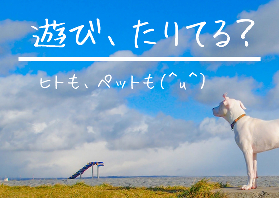 ペットと旅行!