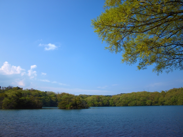 一碧湖