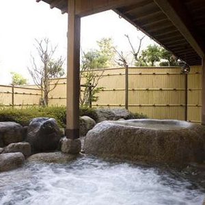 鹿の湯ホテルの湯の山温泉