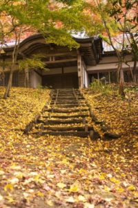 竈門神社（福岡県の桜の観光名所）