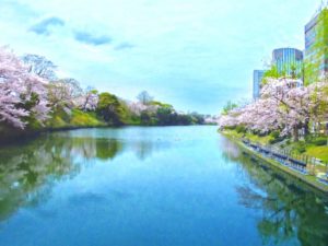 舞鶴公園(福岡県の桜の観光名所)