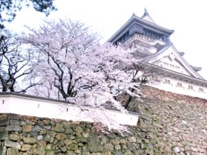 小倉城・勝山公園（福岡県の桜の観光名所）