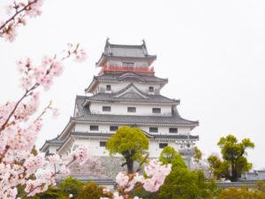 唐津城（佐賀県の桜の観光名所）