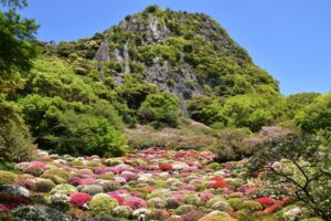 御船山楽園（佐賀県の桜の観光名所）