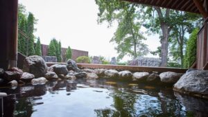 十勝川温泉　観月苑の天然温泉