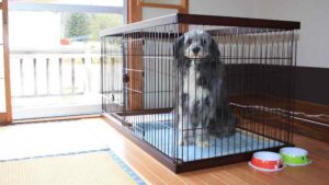 山の宿 野中温泉のペットと泊まれる部屋