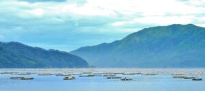 釜石・山田湾(岩手県)