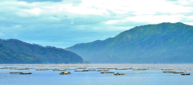 釜石・山田湾（岩手県）