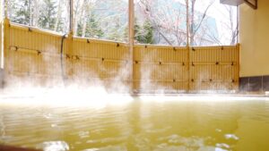 美瑛白金温泉　ホテルパークヒルズの天然温泉